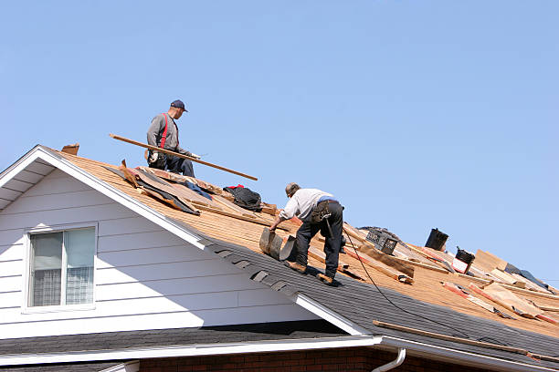 Best Sheet Metal Roofing  in Round Lake Park, IL